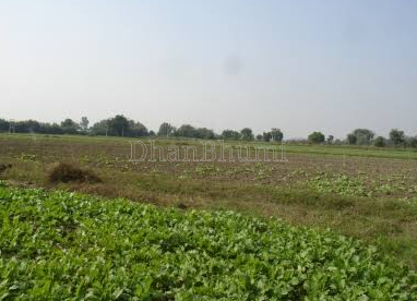 property_images/agricultural_in_alwar_1784616570_6a5f167aea266.PNG