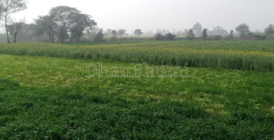 property_images/agricultural_in_alwar_1787385561_6a8956d94735f.png