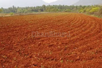 property_images/agricultural_in_alwar_1788159780_6a95272491205.png
