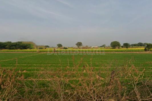 property_images/agricultural_in_ambala_1781256246_6a2bd03632833.jpg