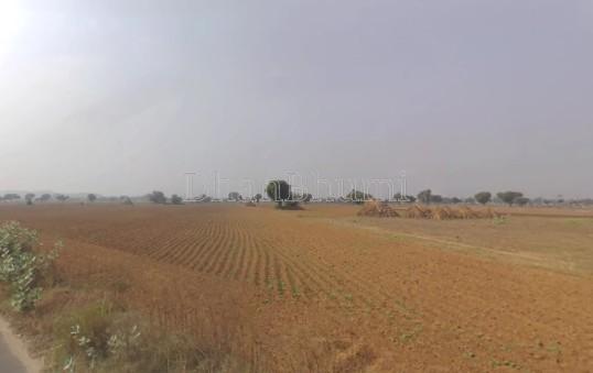 property_images/agricultural_in_ambala_1781257069_6a2bd36d34a2b.jpg