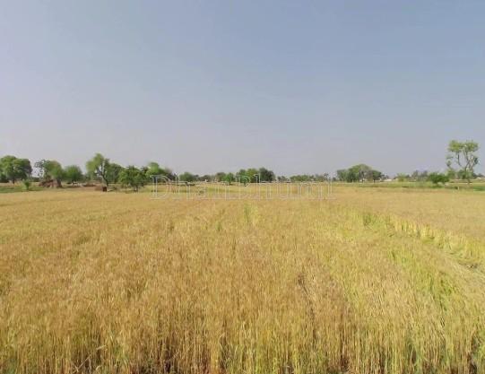 property_images/agricultural_in_ambala_1781257396_6a2bd4b4c206a.jpg