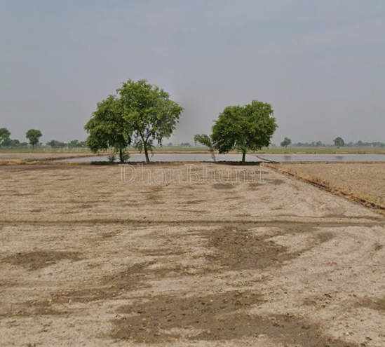 property_images/agricultural_in_ambala_1792137349_6ad1d8857ca01.png