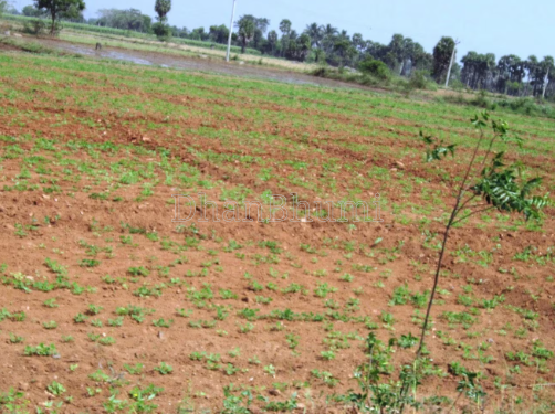 property_images/agricultural_in_ambedkar_nagar_1790314267_6ab6071b83f83.png