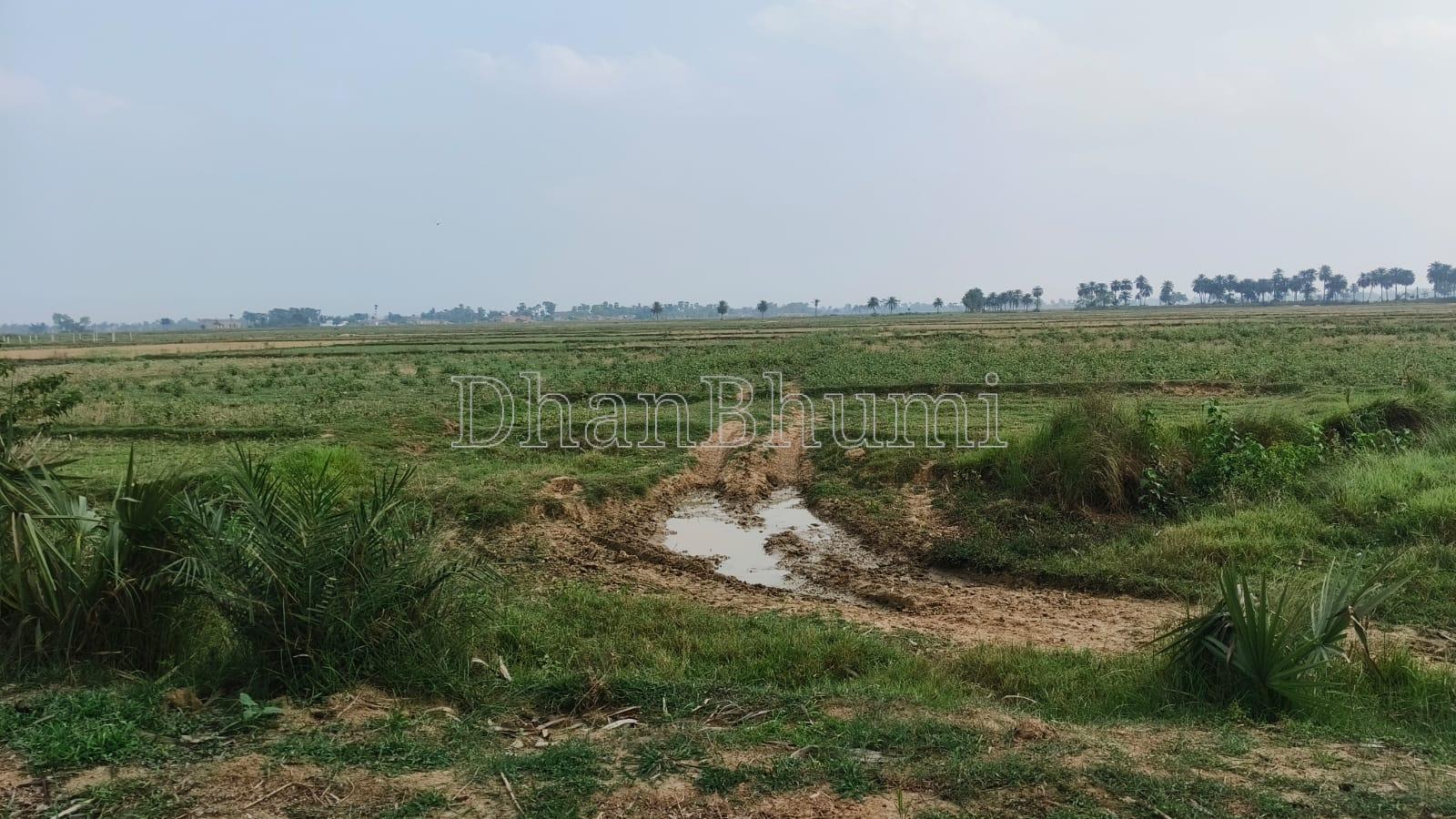 featured_img