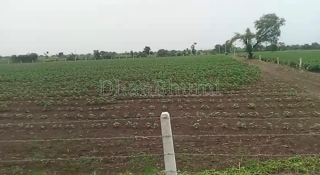 property_images/agricultural_in_amreli_1785497544_6a6c87c809996.png