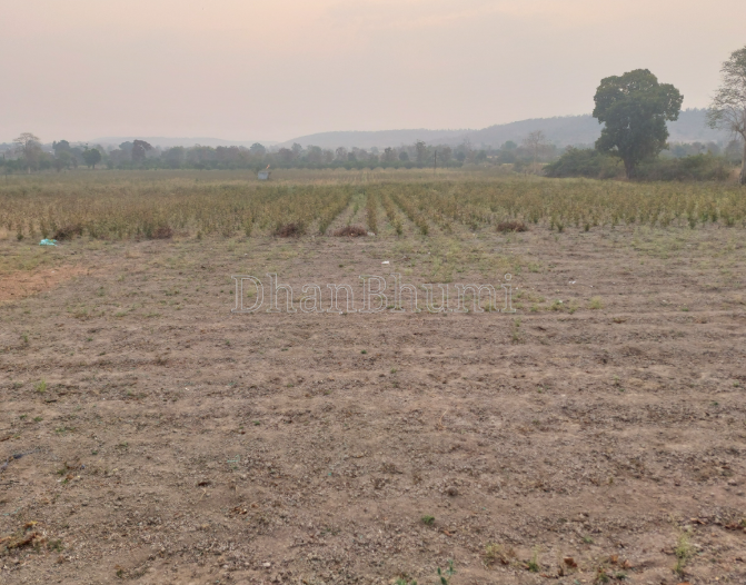 property_images/agricultural_in_amreli_1789198666_6aa5014ac7519.png