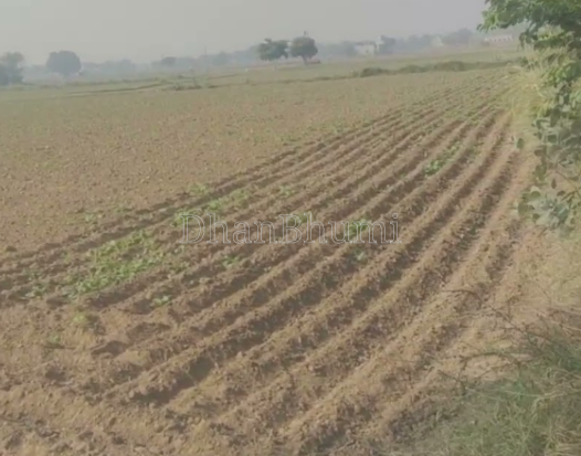 property_images/agricultural_in_amreli_1789198902_6aa50236587cc.png