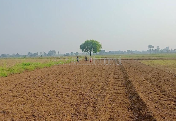 property_images/agricultural_in_amreli_1789199096_6aa502f8c601b.png