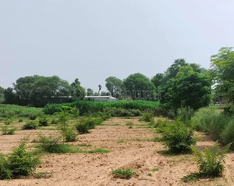 property_images/agricultural_in_amreli_1792048695_6ad07e3790340.PNG