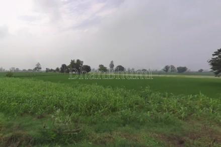 property_images/agricultural_in_amroha_1781261055_6a2be2ffc6f9a.jpg
