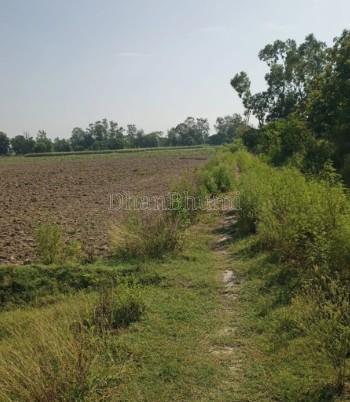 property_images/agricultural_in_amroha_1781261055_6a2be2ffcf553.jpg