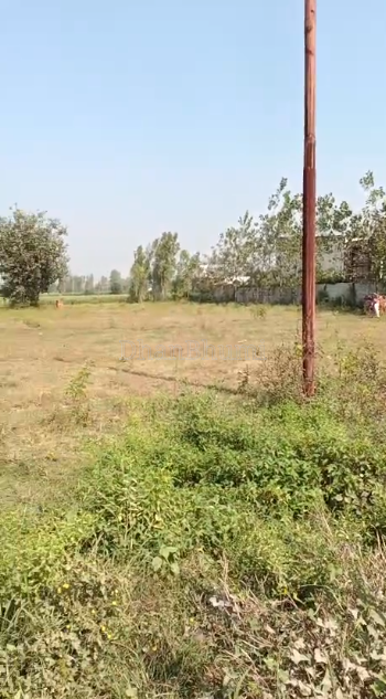 property_images/agricultural_in_amroha_1793005636_6adf18445a216.PNG
