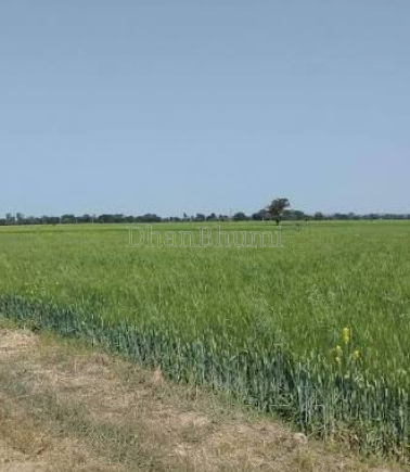 property_images/agricultural_in_anand_1792666105_6ad9e9f97cf53.png