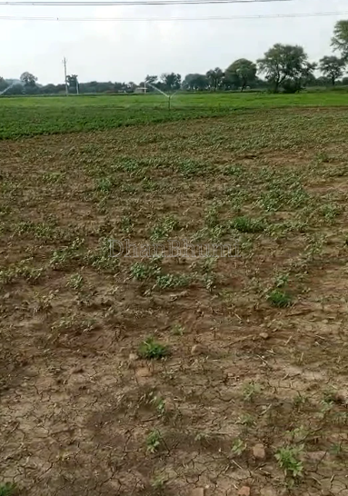 property_images/agricultural_in_angul_1789375717_6aa7b4e5d71ae.PNG