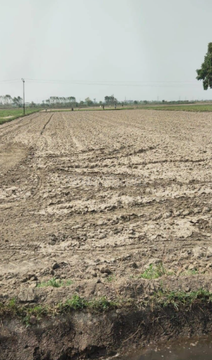 property_images/agricultural_in_angul_1789375894_6aa7b5965269c.PNG