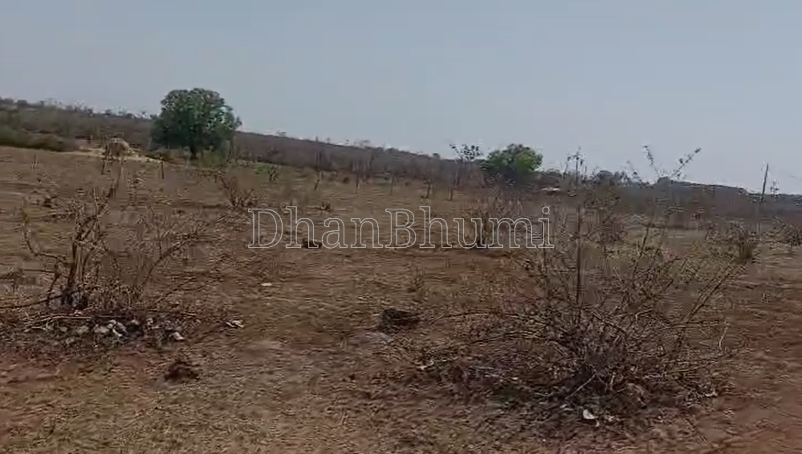 property_images/agricultural_in_anuppur_1785747648_6a7058c003235.png
