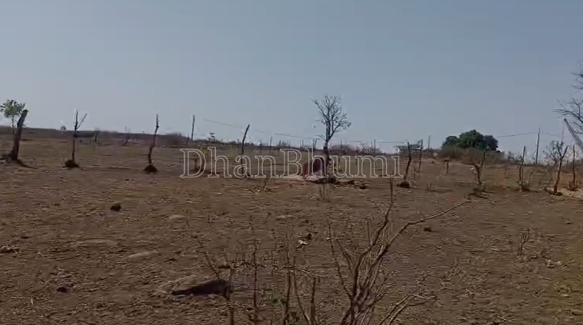 property_images/agricultural_in_anuppur_1785747648_6a7058c027136.png