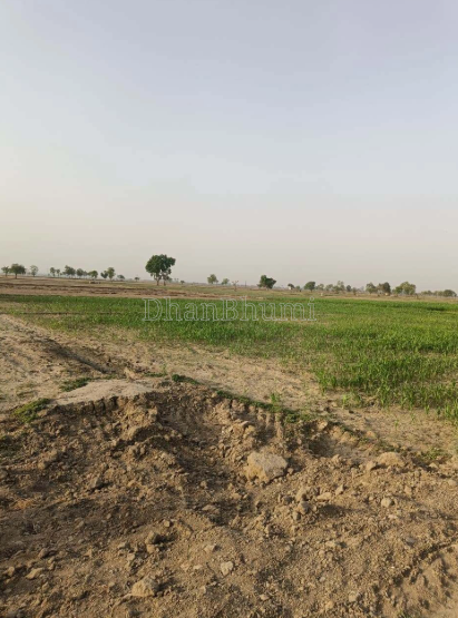property_images/agricultural_in_ashoknagar_1784020176_6a55fcd0bdaf0.PNG