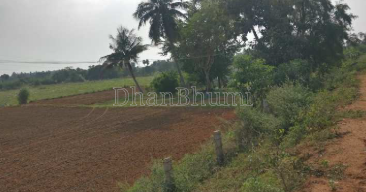 property_images/agricultural_in_ashoknagar_1787379204_6a893e043a4f7.png