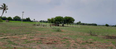 property_images/agricultural_in_ashoknagar_1787379464_6a893f0846cf9.png