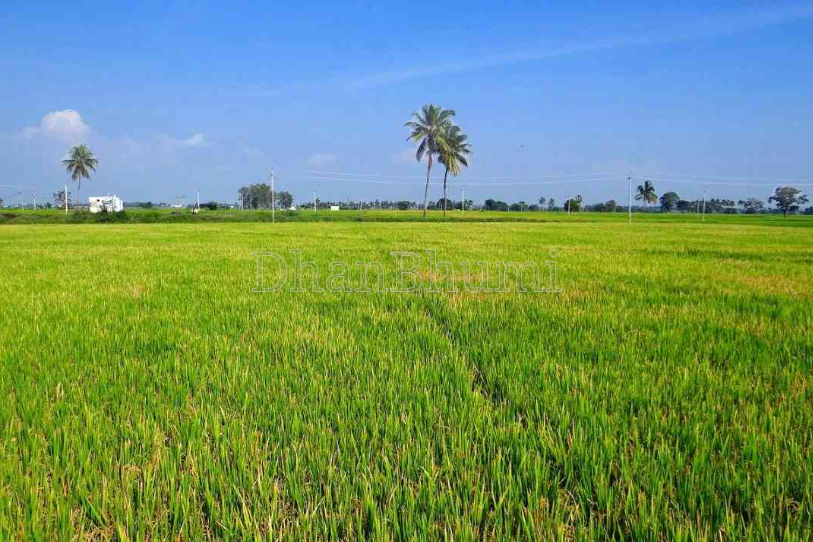 property_images/agricultural_in_ayodhya_1787656577_6a8d79816f379.png
