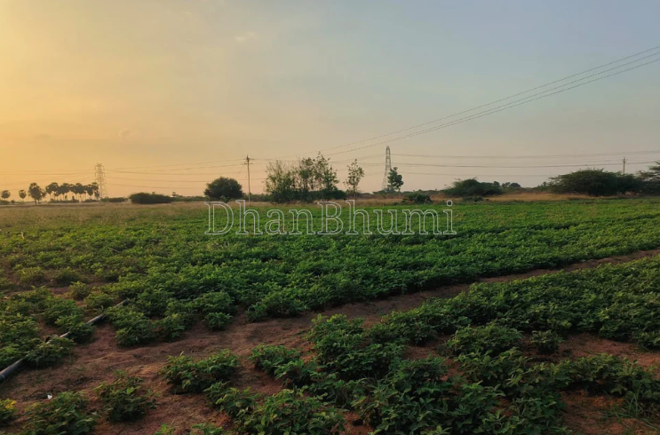 property_images/agricultural_in_badaun_1787396915_6a89833337aff.png