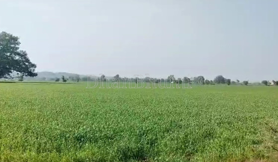 property_images/agricultural_in_baghpat_1789540290_6aaa37c2c5952.png