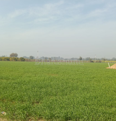 property_images/agricultural_in_baghpat_1789540492_6aaa388c51511.png