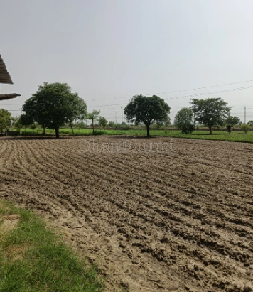 property_images/agricultural_in_baghpat_1790238612_6ab4df94a9010.png