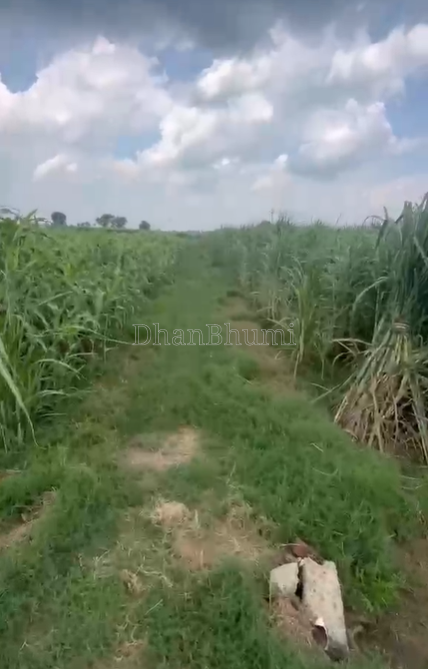 property_images/agricultural_in_baghpat_1790835744_6abdfc208cbb7.png