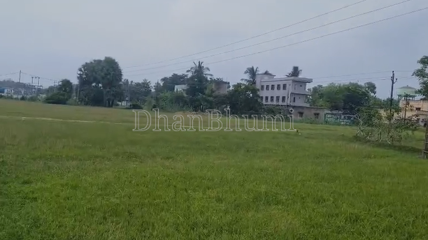 property_images/agricultural_in_balasore_1790159121_6ab3a9116e654.png