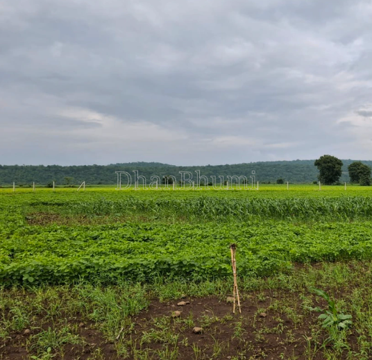 property_images/agricultural_in_ballia_1792827711_6adc613f64118.PNG