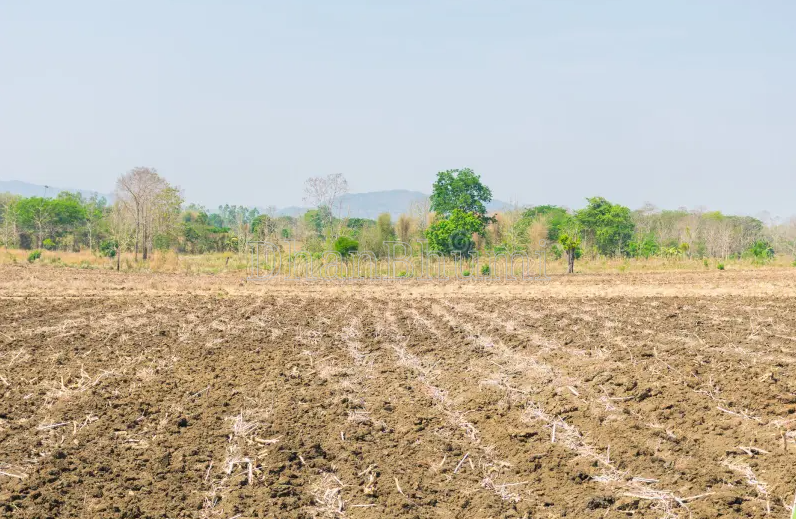 property_images/agricultural_in_balod_1787031130_6a83ee5af24b9.png