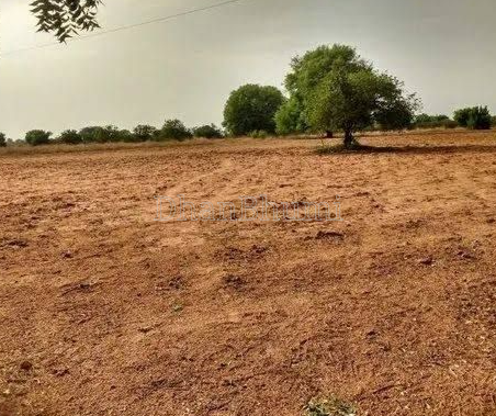 property_images/agricultural_in_balotra_1788607438_6a9bfbce468d9.png