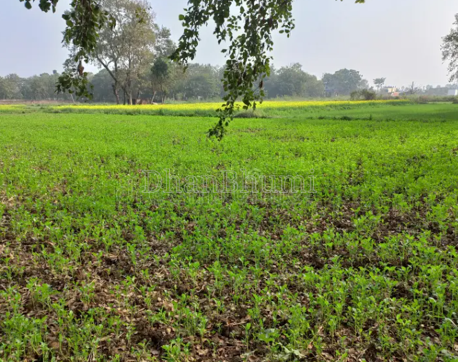 property_images/agricultural_in_banaskantha_1786624531_6a7dba139124d.PNG