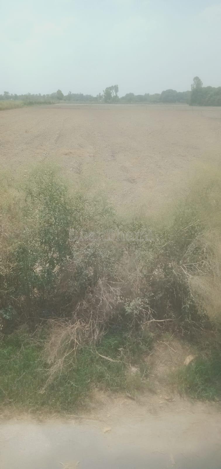 property_images/agricultural_in_barabanki_1782291021_6a3b9a4d632eb.jpeg