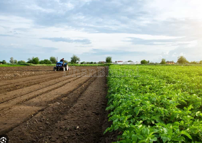 property_images/agricultural_in_barabanki_1790079425_6ab271c139ef7.png
