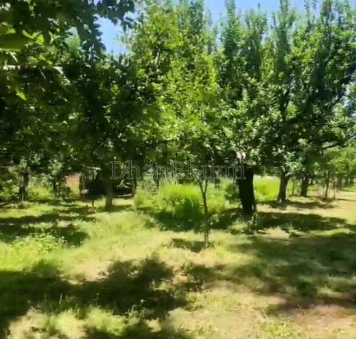 property_images/agricultural_in_baramulla_1781768164_6a339fe44df5c.png