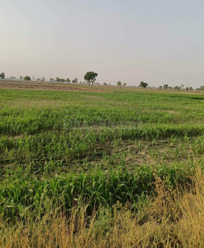 property_images/agricultural_in_baran_1792653009_6ad9b6d105b46.PNG