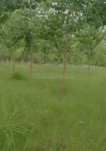 property_images/agricultural_in_bareilly_1781507623_6a2fa627aa412.png