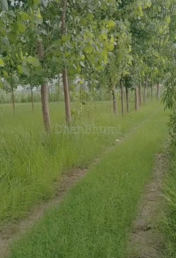 property_images/agricultural_in_bareilly_1781507623_6a2fa627e912b.png