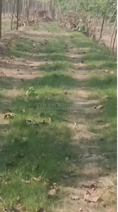 property_images/agricultural_in_bareilly_1782890551_6a44c037b67ac.png