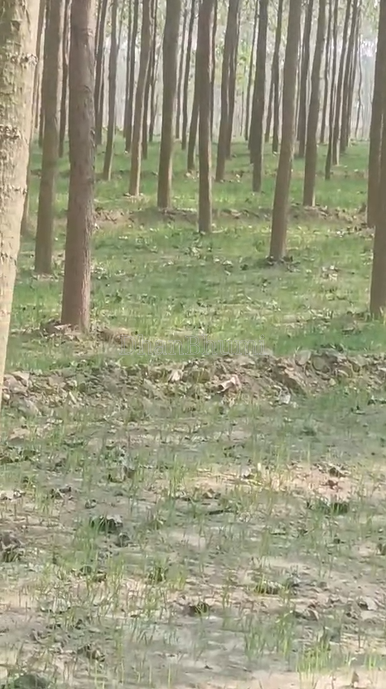 property_images/agricultural_in_bareilly_1782890551_6a44c037d9832.png