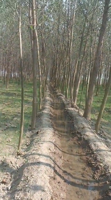 property_images/agricultural_in_bareilly_1782890552_6a44c03809d59.png