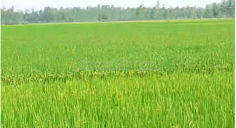 property_images/agricultural_in_bareilly_1782890806_6a44c136de47d.png