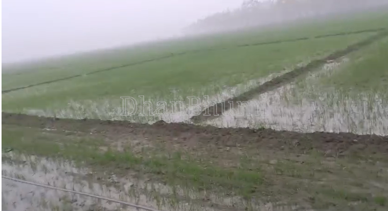 property_images/agricultural_in_bareilly_1782895720_6a44d4681b0db.png