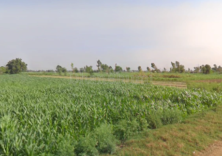 property_images/agricultural_in_bareilly_1789367233_6aa793c198ea0.png