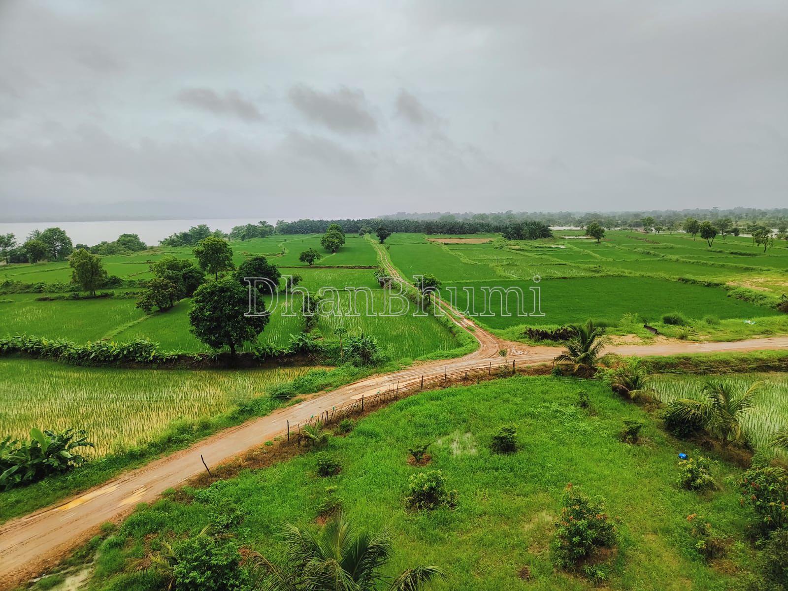 property_images/agricultural_in_bargarh_1782121193_6a3902e99c898.jpeg