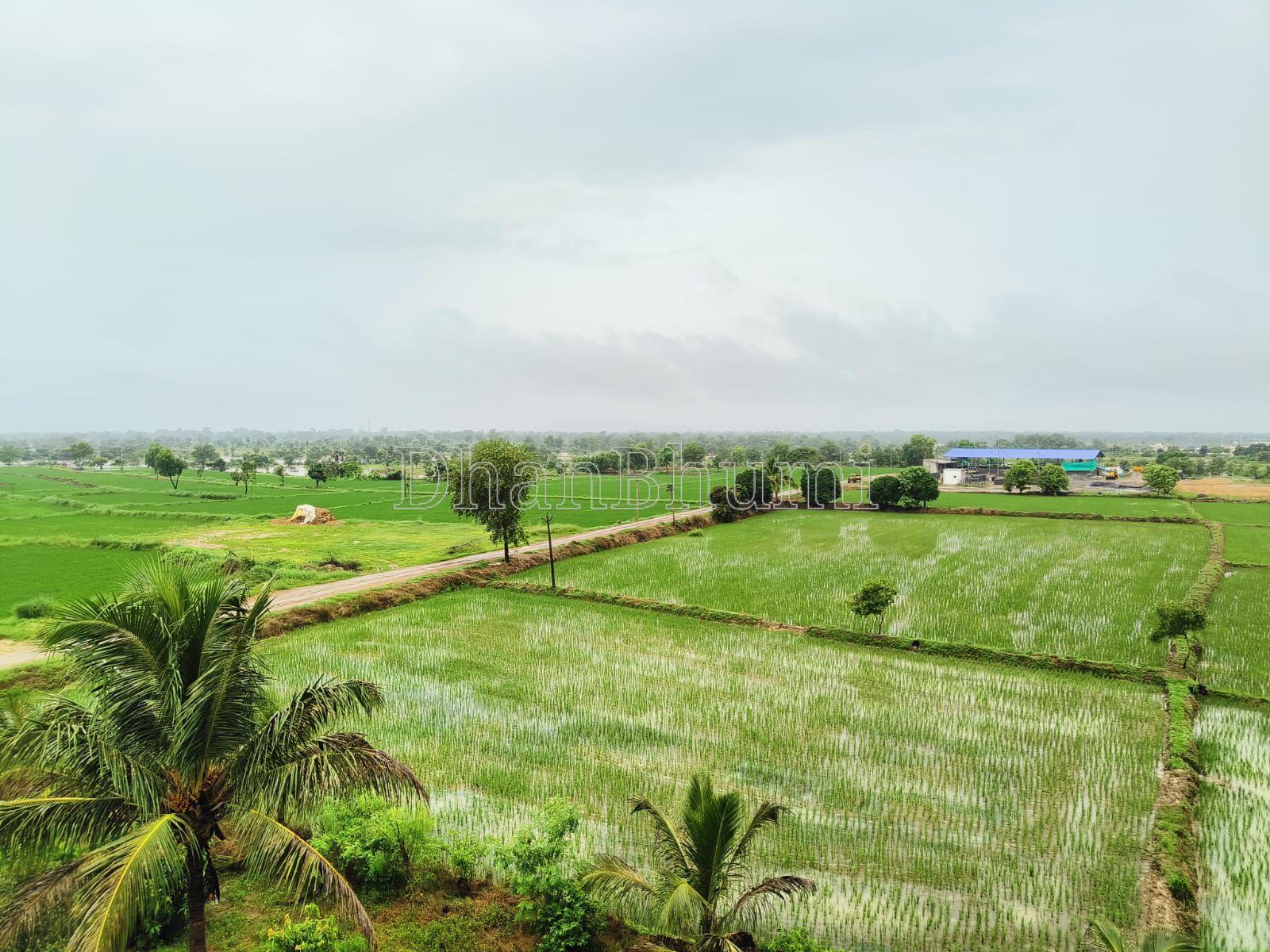 property_images/agricultural_in_bargarh_1782121193_6a3902e9b2324.jpeg